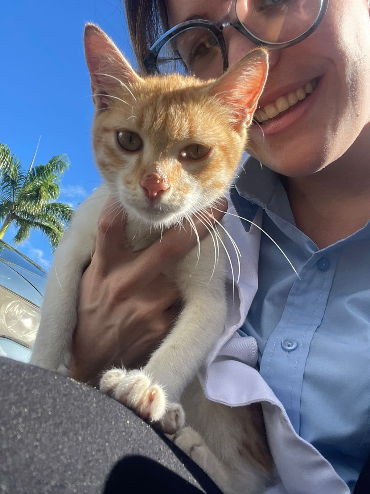 Island rescue